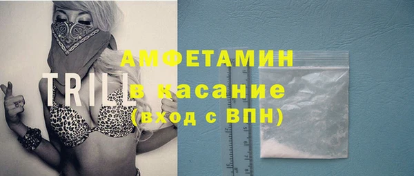 прущие грибы Гусиноозёрск
