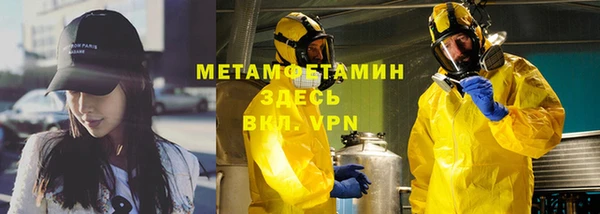 прущие грибы Гусиноозёрск