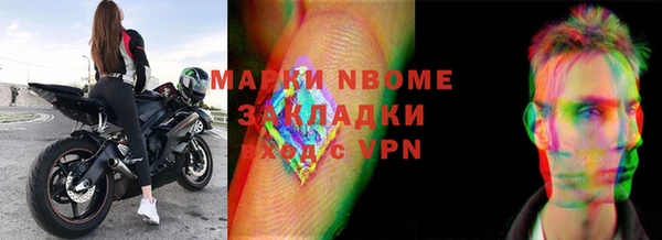 прущие грибы Гусиноозёрск