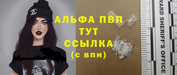 прущие грибы Гусиноозёрск