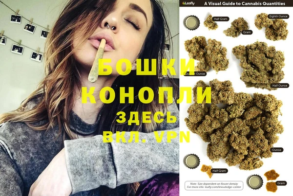 прущие грибы Гусиноозёрск
