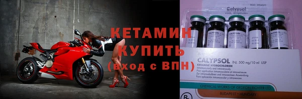прущие грибы Гусиноозёрск
