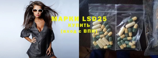 прущие грибы Гусиноозёрск