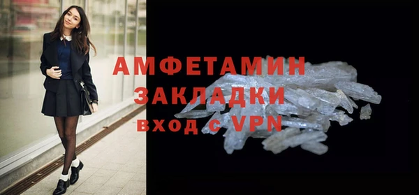прущие грибы Гусиноозёрск