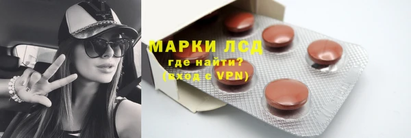 прущие грибы Гусиноозёрск