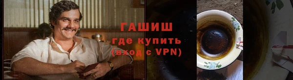 прущие грибы Гусиноозёрск