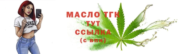 прущие грибы Гусиноозёрск
