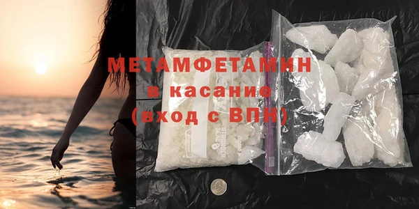 прущие грибы Гусиноозёрск