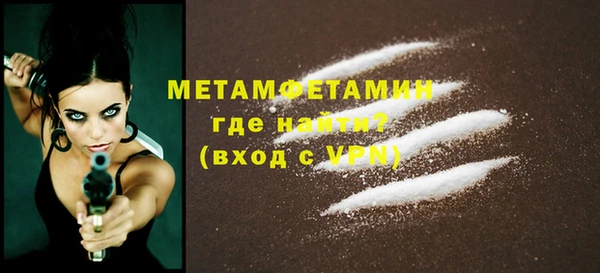 прущие грибы Гусиноозёрск