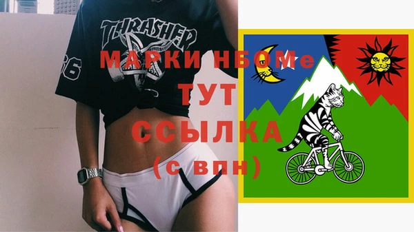 прущие грибы Гусиноозёрск